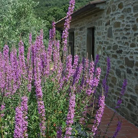 Casetta San Martino 别墅 哥尔顿